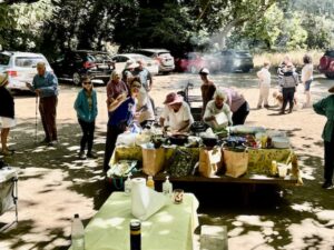 All Saints' Big Sur Santa Lucia Parish Picnic